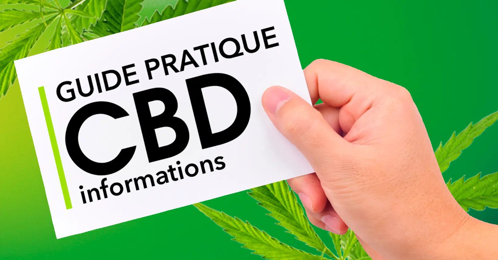 En savoir plus sur le CBD : Une Journée Pas Comme les Autres ! - HerBeevor