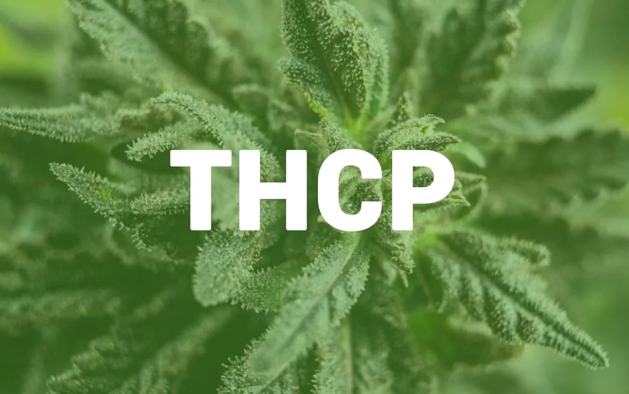 À la Découverte du THCP : Nouveau Cannabinoïde Émergent - HerBeevor