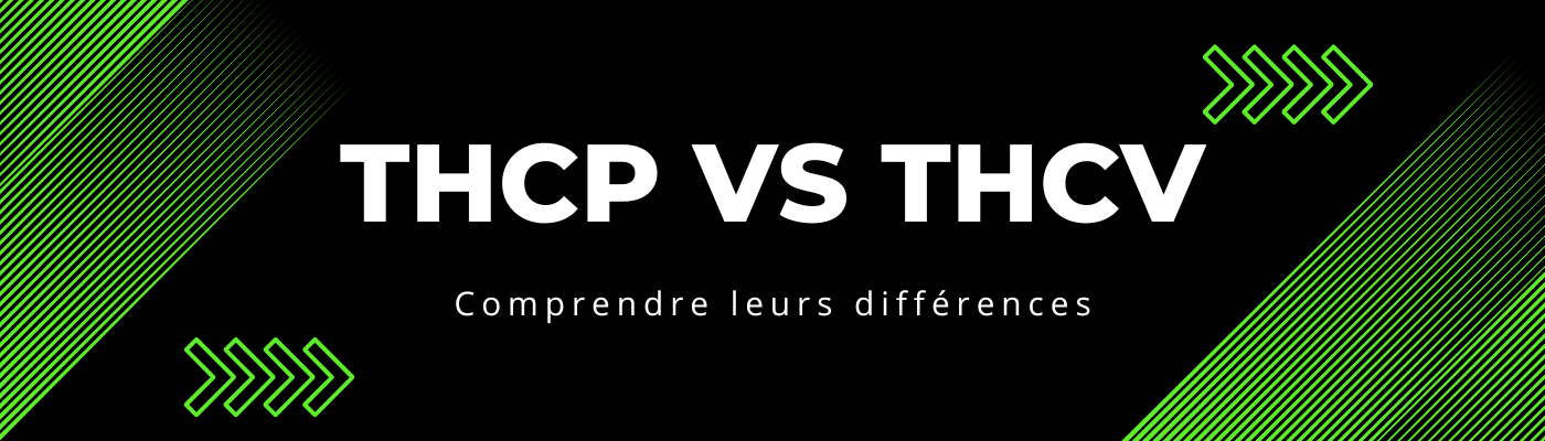 THCP vs THCV : Découvrez leurs différences et potentiels - HerBeevor