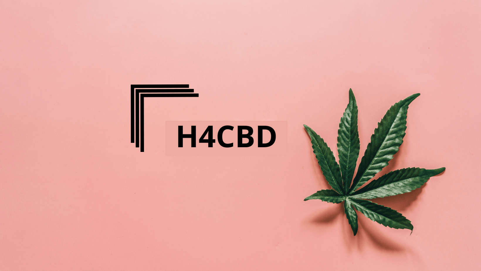 Exploration de la Molécule H4CBD : Un Nouveau Cannabinoïde aux Propriétés Thérapeutiques Révolutionnaires - HerBeevor