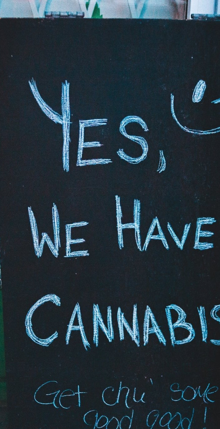 Décision Historique : Le Conseil d'État Français Autorise la Vente de Fleurs de CBD - HerBeevor