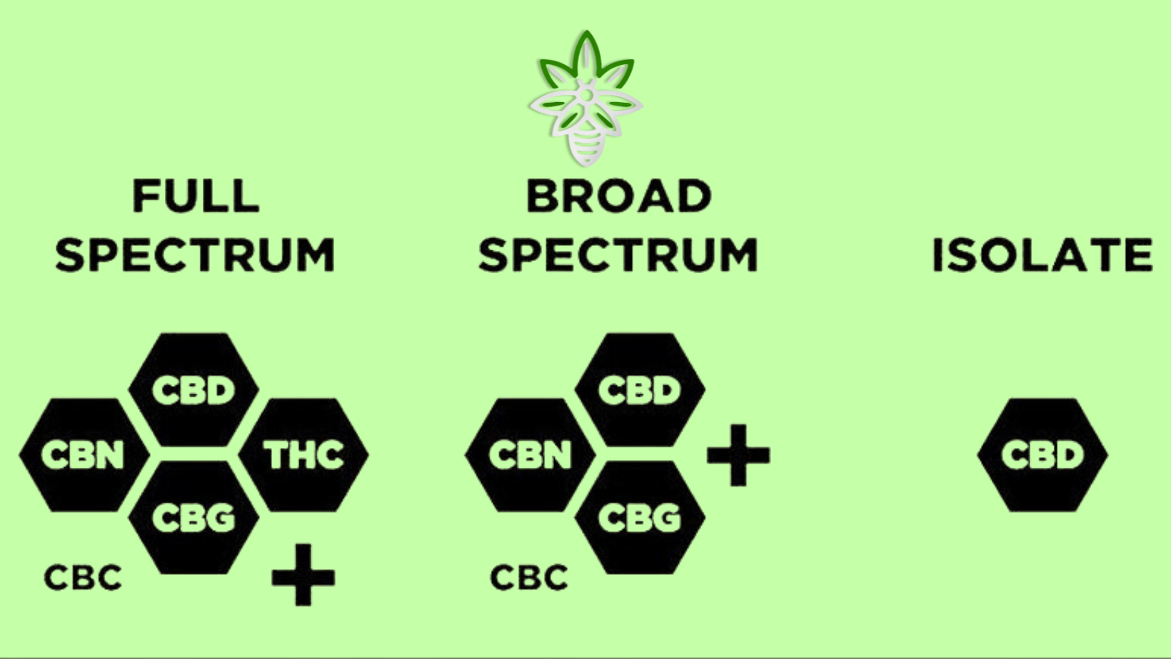 Explorez les Types de CBD : Spectre Complet, Large Spectre et Isolat - HerBeevor