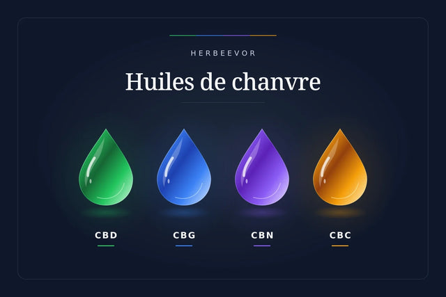 Huiles de chanvre Herbeevor : CBD vert, CBG bleu, CBN violet et CBC ambre