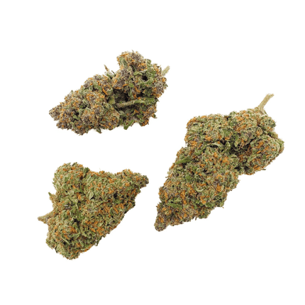 Black Sugar Rose CBD Flower 21% - Grown in Italy