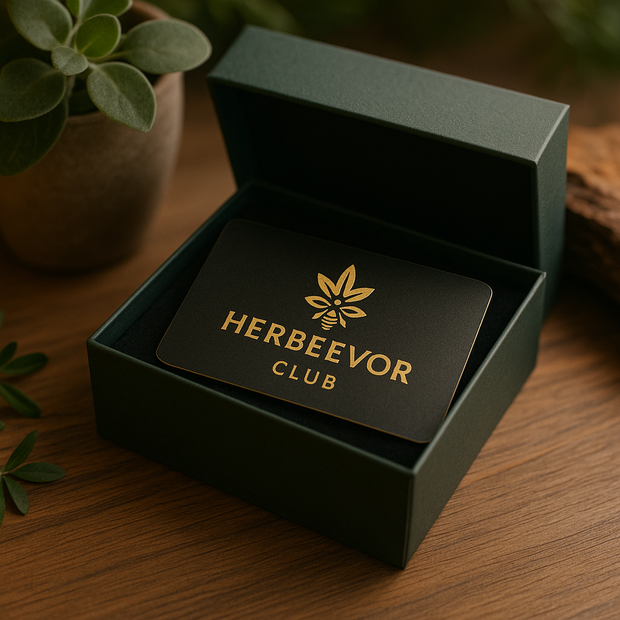 Banner image for: <h2>The More You Shop, The More You Earn</h2>