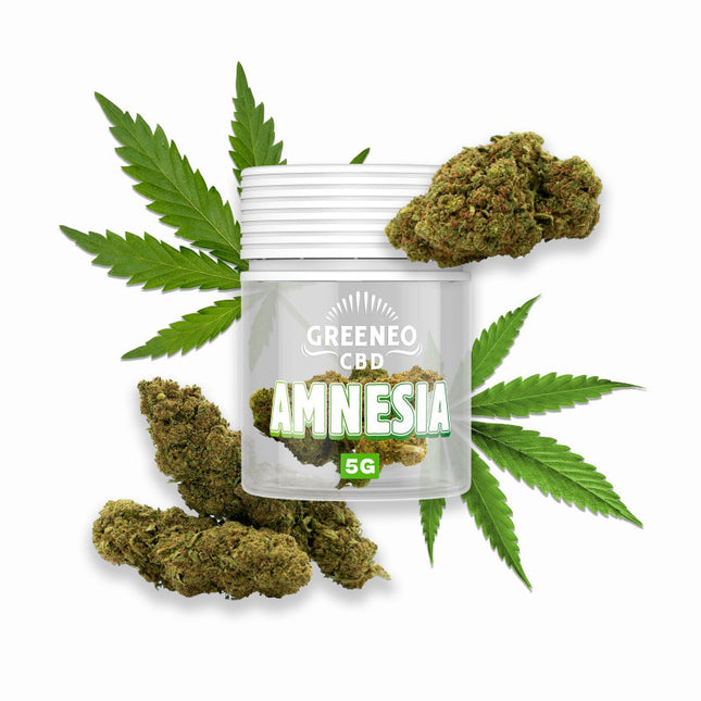 Amnesia 13 % – Fleur CBD – Greeneo — 5 g