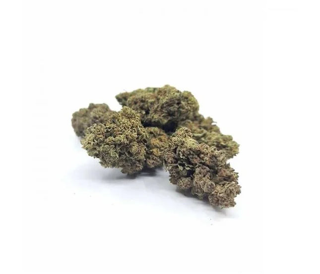 Fleur de CBD Hawaiian Greenhouse – variété premier prix cultivée sous serre en France, offrant un bon équilibre entre qualité et prix, disponible chez Herbeevor.