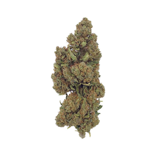 Fleur CBD Lifter Greenhouse – une variété abordable et de qualité, cultivée sous serre pour un excellent rapport qualité-prix, disponible chez Herbeevor.