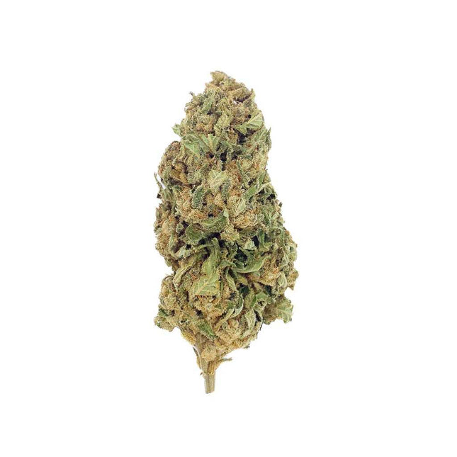 Fleur de CBD Super Lemon OG Greenhouse – variété cultivée sous serre en France, avec des arômes citronnés et un effet relaxant équilibré, disponible chez Herbeevor