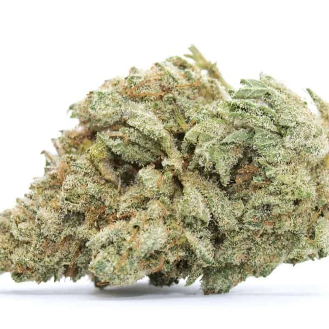 Fleur CBD White Widow Indoor – variété premium cultivée en intérieur, ultra résineuse avec une forte teneur en CBD et des arômes puissants, disponible chez Herbeevor