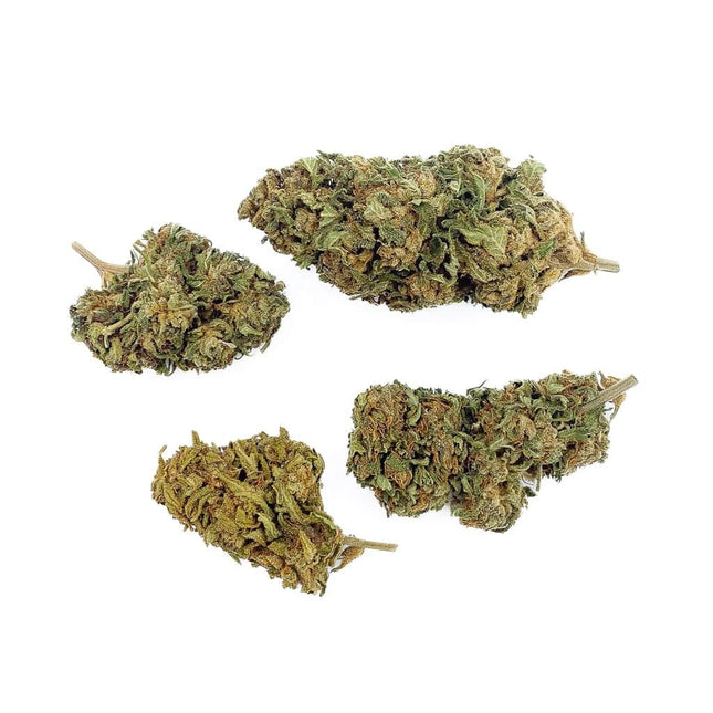 Fleurs de CBD Super Lemon OG Greenhouse – sélection premium aux bourgeons denses et arômes d’agrumes, issue d’une culture sous serre française de qualité, disponible chez Herbeevor