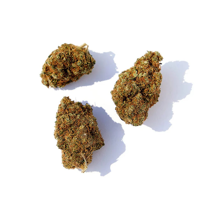 Fleurs de CBD Zkittlez Glasshouse – sélection premium sous serre, arômes fruités et sucrés, avec des bourgeons compacts et résineux, disponible chez Herbeevor