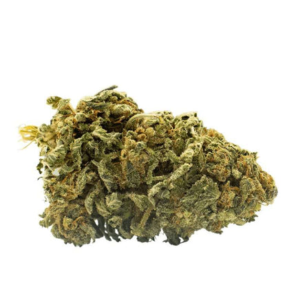 Fleurs Moby Dick CBD - Green house - HerBeevor