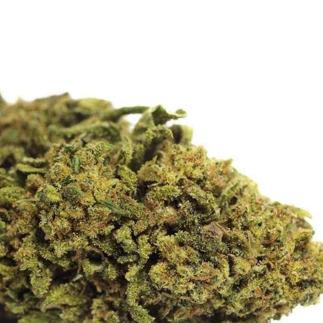 Fleurs ObiWan CBD - Indoor - HerBeevor