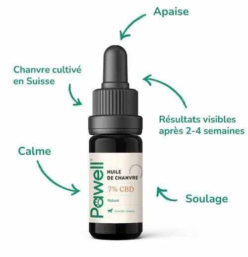 Huile CBD pour Moyens Chiens - 10ml - HerBeevor