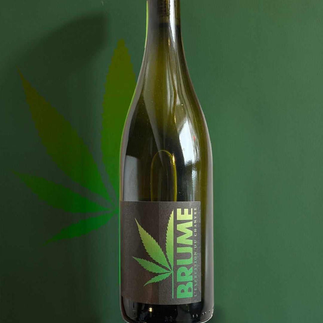 Bouteille de vin blanc au chanvre "Brume" par Herbeevor, une infusion artisanale aux arômes naturels de cannabis, présentée sur un fond vert avec feuille de chanvre